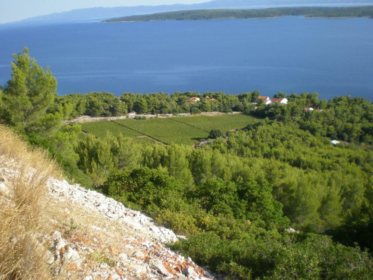 Hvar Melody, Island Hvar, Rosohotnica Bay Basina المظهر الخارجي الصورة