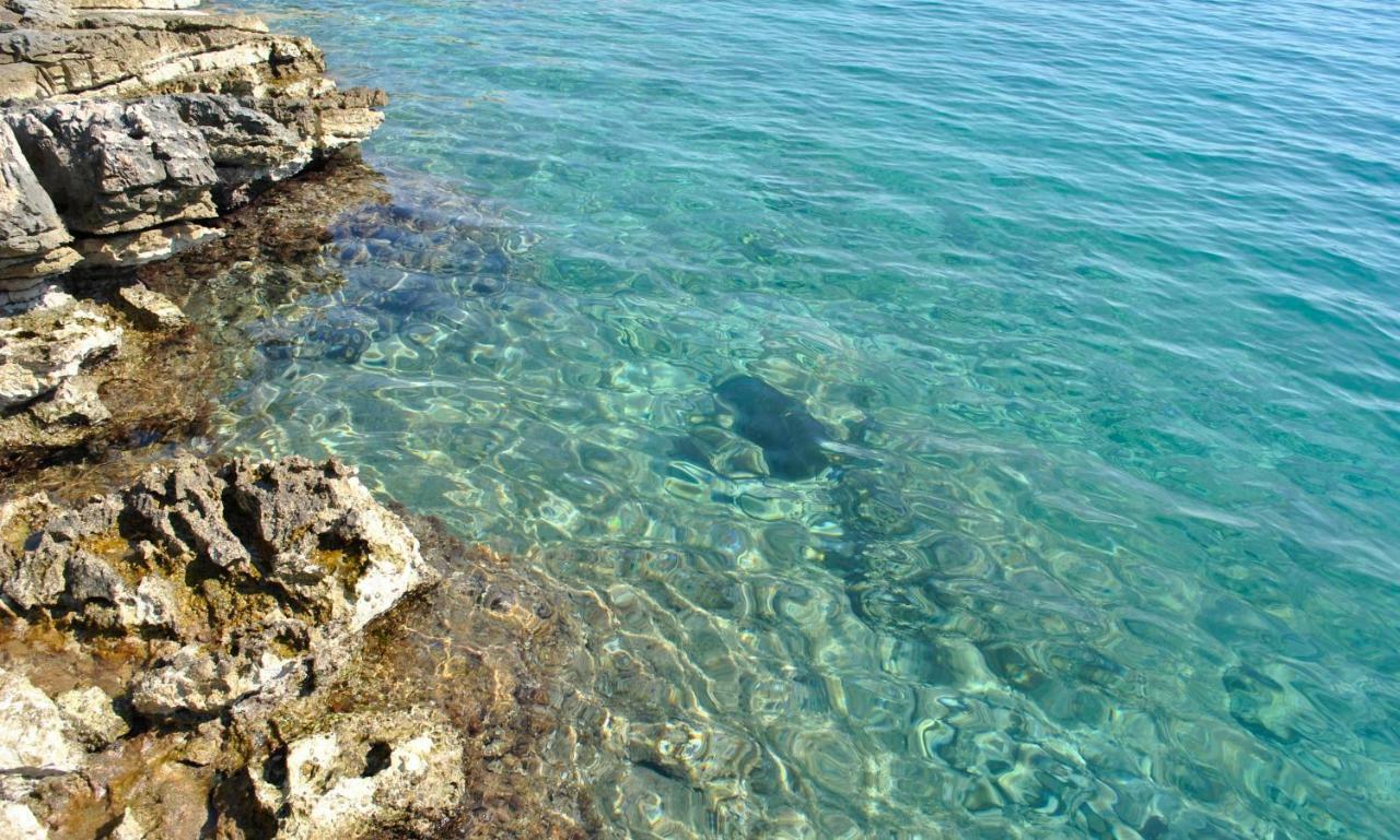 Hvar Melody, Island Hvar, Rosohotnica Bay Basina المظهر الخارجي الصورة